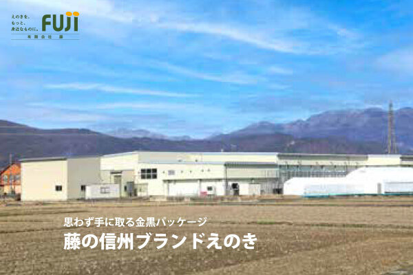 長野のこだわりえのき製造 卸は有限会社 藤 公式 長野のこだわりえのき製造 卸は有限会社 藤 公式ホームページ 有限会社 藤